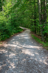 hiking trails in slovakia in rainy summer day