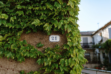 Fototapeta premium Door number 21 woth ivy in france