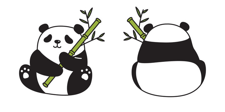 Bear vector panda icon polar bear bamboo food logo teddy cartoon character  symbol illustration doodle Stock Vector | Adobe Stock