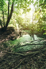 Abandoned place in the deep forest.