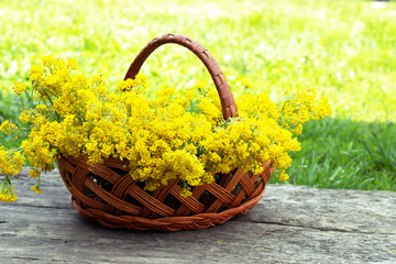 Fototapeta na wymiar Small yellow flowers in a basket on a wooden table.