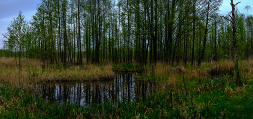 small forest river with calm water and reflections from trees in it