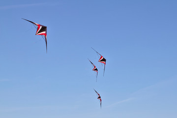 Kite flying on a sunny day