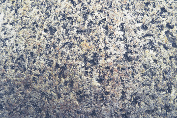 Beautiful closeup textures abstract old wall background and cement floor	