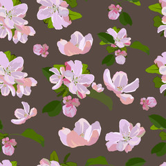 Vector seamless pattern with apple tree blossom