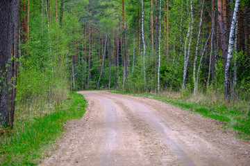 Fototapeta na wymiar dusty gravel road in country summer time