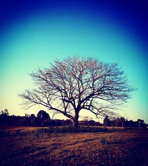 Fototapeta premium Foto tomada en una zona rural de Bella Vista (Paraguay)