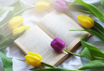 Open book and tulips