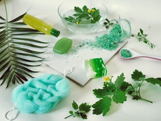Fototapeta na wymiar Sea salt, soap, water, healing herbs on the table, green ingredients for scrub, masks, seasonal spa treatments