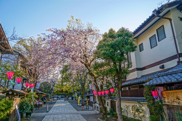 Obraz premium 調布市深大寺の桜と街並み