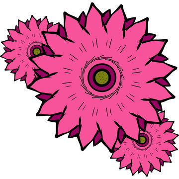Vector illustration with three beautiful pink flowers