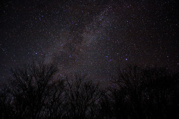 Fototapeta na wymiar Night Sky in Grayson Highlands State Park in Jefferson National Forest in Virginia 