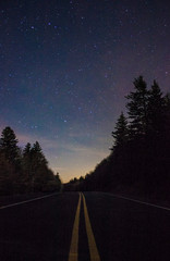 Remote Road in Grayson Highlands State Park in Jefferson National Forest in Virginia 