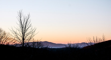 Autumn Dawn in Grayson Highlands State Park in Jefferson National Forest in Virginia 