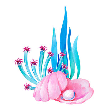 Gouache pink shell with sea anemone and aglae. Hand-drawn clipart for art work and weddind design.