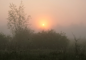 Foggy morning. Dawn outside the city. It will be a warm day.