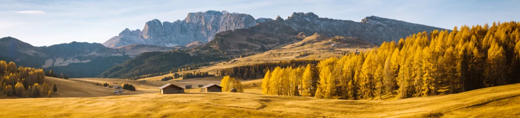 Peel and stick wall murals Honey color Alpe di Siusi at sunrise, Dolomites, South Tyrol, Italy