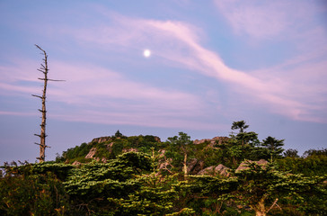 Fototapeta premium Sunrise Landscape View in Grayson Highlands State Park in Jefferson National Forest in Virginia 