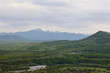 Green forest and mountains
