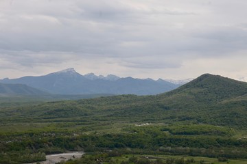 Green forest and mountains