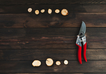 Red pruning shears with scraps of branches, garden secateurs or hand pruners are garden tools used...