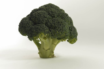 green broccoli on white background.