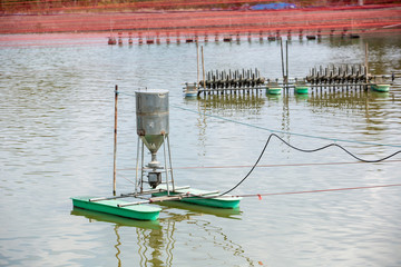 Auto feeder machine floating on the aquaculture pond. Autometic feeder or Auto feed at earthen pond...
