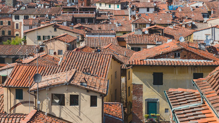 Obraz premium Rooftops of houses in the historic centre of Lucca, Tuscany, Italy