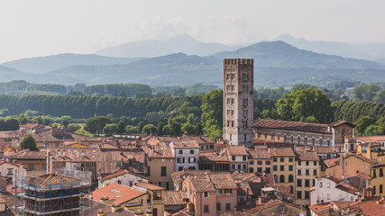Obraz premium Tower and Basilica of San Frediano over houses of Lucca, Tuscany, Italy, viewed from Guinigi Tower