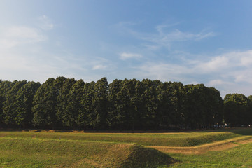 Fototapeta premium Trees and grassland outside of the city walls of Lucca, Tuscany, Italy