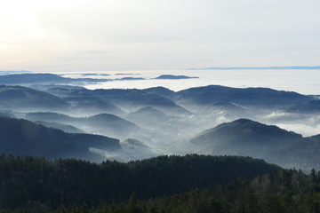 Inversionswetterlage im Scwarzwald