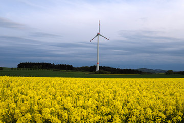 Windräder in der Eifel und blühendes Rapsfeld - Stockfoto