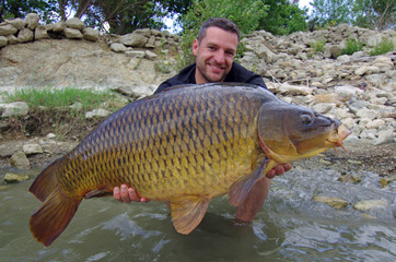 Happy fisherman holding a  big common carp. Freshwater fishing
