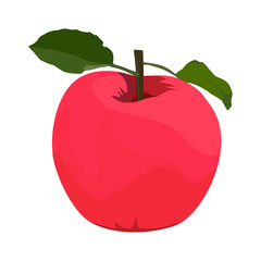 Red apple, vector flat style design isolated illustration