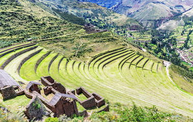 Inca plants farming terraces in Pisaq near Cusco in Peru. - obrazy, fototapety, plakaty