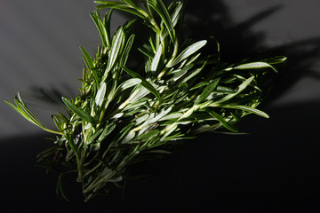 fragrant rosemary leaves on a dark table. Spicy aromatic plant as a seasoning for food. Dark Food Photography