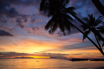 Fototapeta na wymiar Palmtree silhouettes on the tropical beach, Thailand Samui island