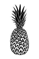 Illustration of pineapple, black silhouette isolated on white