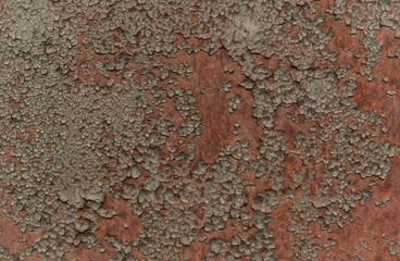 Rusty brown iron texture, green old fence with peeling paint. Textured wallpaper for design.