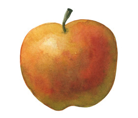 Watercolor fast food illustration element. Watercolor background Food, cafe, menu, restaurant.