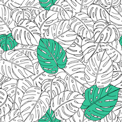 Vector seamless pattern of hand drawn monstera leaves on white background. Repeat tropical backdrop. Exotic jungle wallpaper