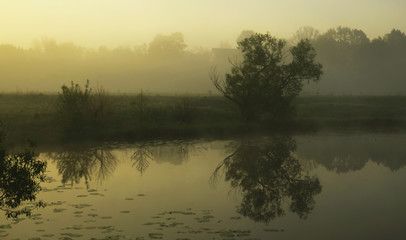 Foggy morning. Dawn outside the city. It will be a warm day.