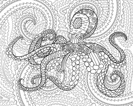 Octopus with high details. Adult antistress coloring page. Black white hand drawn doodle oceanic animal for art therapy. Sketch for tattoo, poster, print, t-shirt in zendoodle style. Vector.