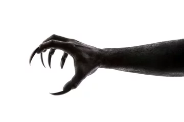 Fotobehang Creepy monster claw isolated on white background with clipping path  © Jakub Krechowicz