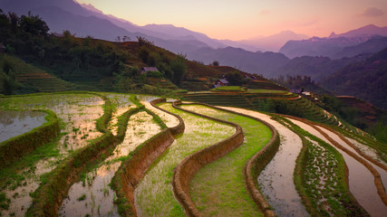 Sapa vietnam rizières