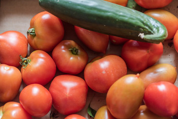 Fresh red organic tomatoes, all good for a healthy juicy vegetarian salad