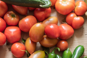 Fototapeta na wymiar Fresh red organic tomatoes, all good for a healthy juicy vegetarian salad
