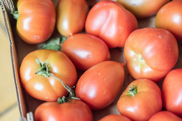 Fresh red organic tomatoes, all good for a healthy juicy vegetarian salad