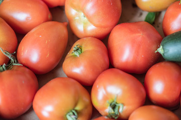 Fresh red organic tomatoes, all good for a healthy juicy vegetarian salad