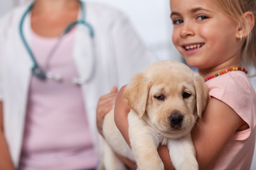 Little girl holding her puppy dog at the veterinary doctor office - closeup